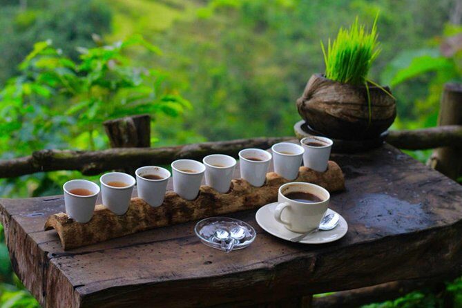 2 Days Best of Bali Famous Tour Packages - Value check: is $142 fair for this much?
