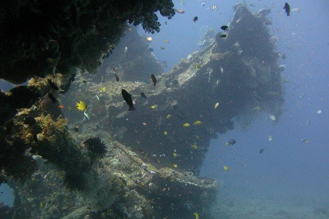 2 PADI Certified Dives at Tulamben from Bali - USAT Liberty Wreck Afternoon: A 120-Meter Structure Built for Photos and Structure Lovers