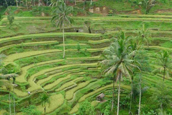 3 Days Sightseeing to the Famous Place in Bali - Timing, tickets, and comfort: how to get the best from each stop