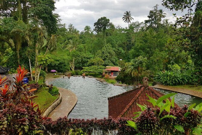 4-Hour Private Tour in Jatiluwih Terraces and Butterfly Park - Price and Value: Why $70 Can Make Sense Here