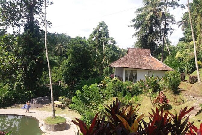 4-Hour Private Tour in Jatiluwih Terraces and Butterfly Park - Timing Tips: Traffic, Crowds, and Weather