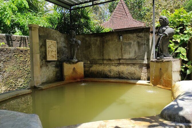4-Hour Private Tour in Jatiluwih Terraces and Butterfly Park - Who This Tour Is Best For