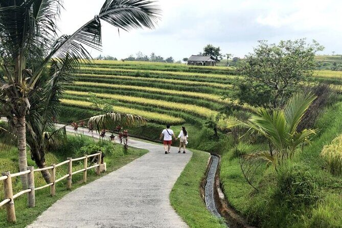 4-Hour Private Tour in Jatiluwih Terraces and Butterfly Park - Stop 1: Bali Butterfly Park and What You’ll Enjoy Most