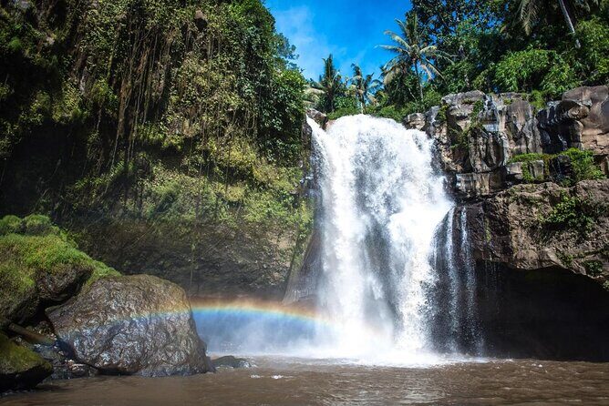 Adventures Tour : Bali Hidden Canyon Trekking - Beji Guwang - Key highlights you’ll feel right away