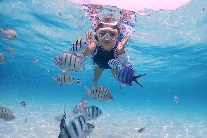 (ALL- IN) Bali Snorkeling Blue Lagoon with Waterfall Visit - Tegenungan waterfall: gorgeous views, not a swim stop