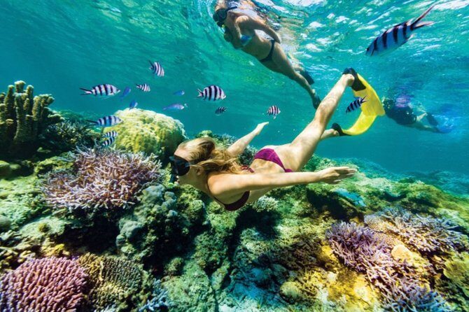 All Inclusive Bali Blue Lagoon Snorkeling with Lunch and Transport - A Seminyak-to-Padang Bai day that’s built around snorkeling