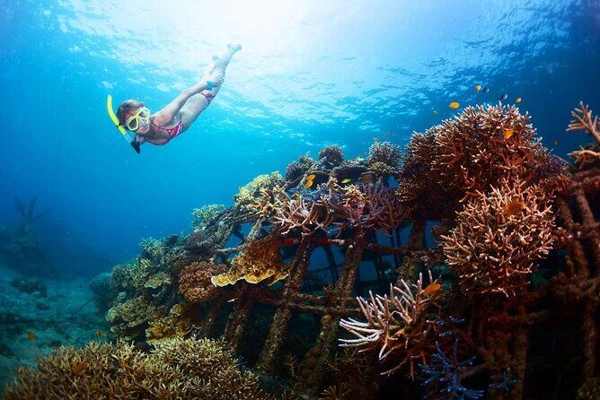 All-Inclusive Bali Snorkeling at Blue Lagoon Beach & ATV Ride - Optional Ubud stop: Monkey Forest plus Ubud Royal Palace