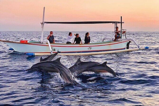 All inclusive Lovina Dolphins Sunrise tour, Waterfall & Temple - Lovina sunrise dolphins and snorkeling: what to expect
