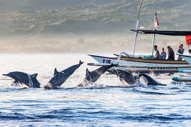 All inclusive Lovina Dolphins Sunrise tour, Waterfall & Temple - Private transport and “all-inclusive” comfort: where the value comes from
