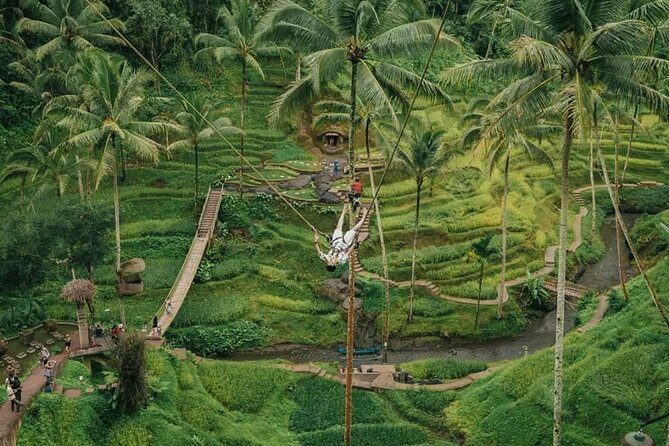 All inclusive Private 3 day tours package : Bali highlights - Day 1: Batuan Temple, artisan villages, Kintamani volcano views, and Tegalalang swing