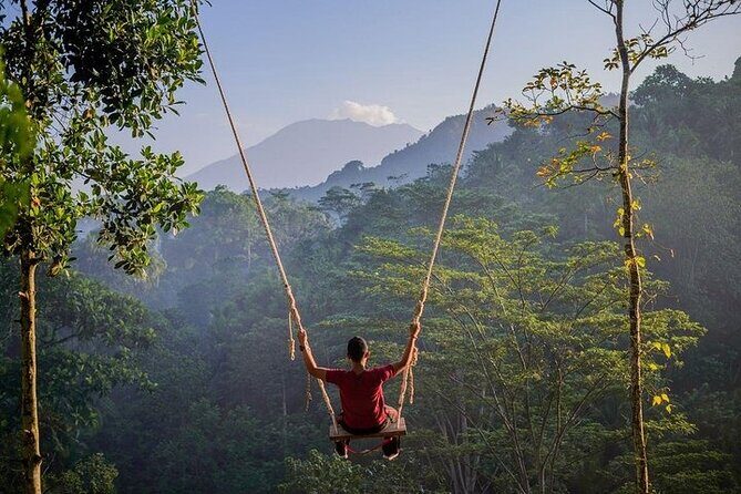 All Inclusives Bali Private Tour Temples Palaces and Nature - How a 12-hour East Bali private day actually feels