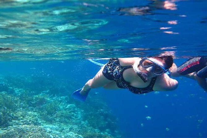 All Ticket Inclusive-Blue Lagoon Snorkeling-Ubud Monkey Forest & Ubud Waterfall - Blue Lagoon snorkeling: reef life, boat transfer, and real creature-spotting time