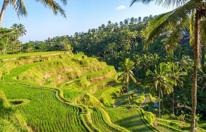 ATV Quad Bike with Kintamani Volcano Tour - All Inclusive - Key things to know before you book