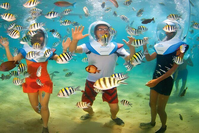 Bali Activity: Bali Sea Walking in Nusa Dua Ocean - Who This Bali Sea Walking Tour Fits Best