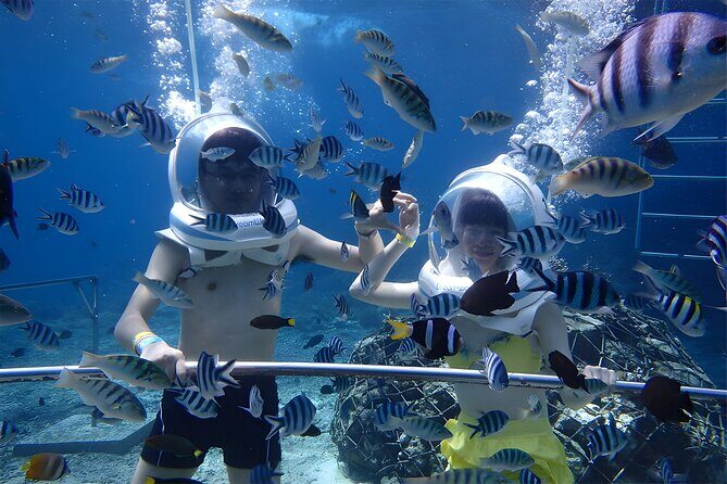 Bali Activity: Bali Sea Walking in Nusa Dua Ocean - The Underwater Part: Your Helmet Walk, Step by Step