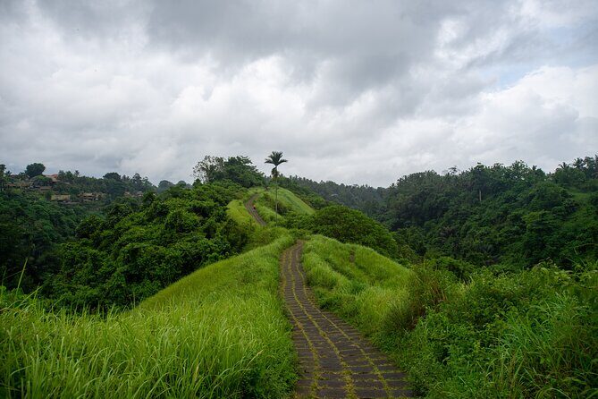 Bali Airport Pickup Transfer to Ubud Area (Private) - Flexibility En Route: Detours for Food or a Quick Sight