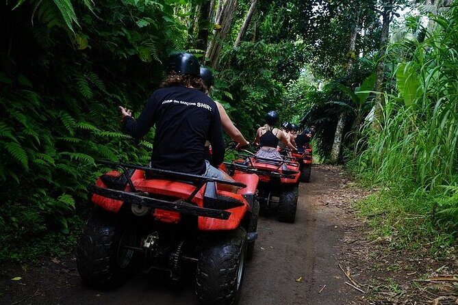 Bali ATV Quad Bike Adventure with Gorilla Cave Pass By Waterfall - Waterfall Pass and the Muddy Trail Reality