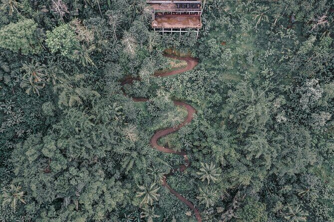 Bali ATV Quad Bike Adventure with Gorilla Cave Pass By Waterfall - The Gorilla Cave + Infinity Pool Stop That Makes the Day Different