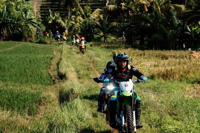 Bali ATV Quad Bike Ubud Swing & Monkey Forest All Inclusive - Tegalalang Jungle Swing: floating over the rice and rattan-style photo frames