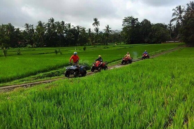 Bali ATV Ride tour Ubud - Lunch After the Ride: Included, but Confirm What You’ll Get