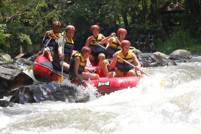 Bali: Ayung River White Water Rafting Adventure - What the Ayung River run feels like for most skill levels