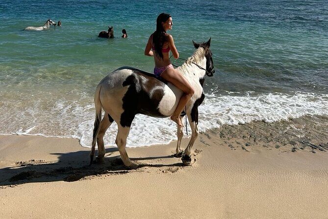 Bali Beach Horse Riding combo with waterfall All Inclusive - Beach Horse Riding and Waterfall: why this combo works