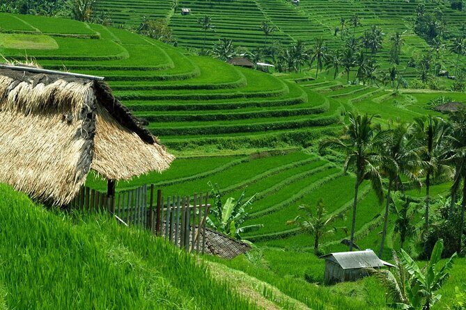 Bali: Bedugul Lake Temple, Banyumala Waterfall, UNESCO Rice Field - Seminyak pickup, timing, and what 9.5 hours really means
