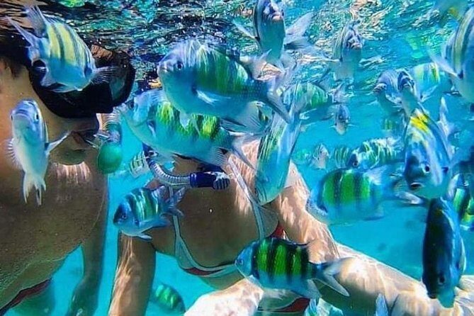 Bali Best Snorkeling at Blue Lagoon - Key things you’ll care about