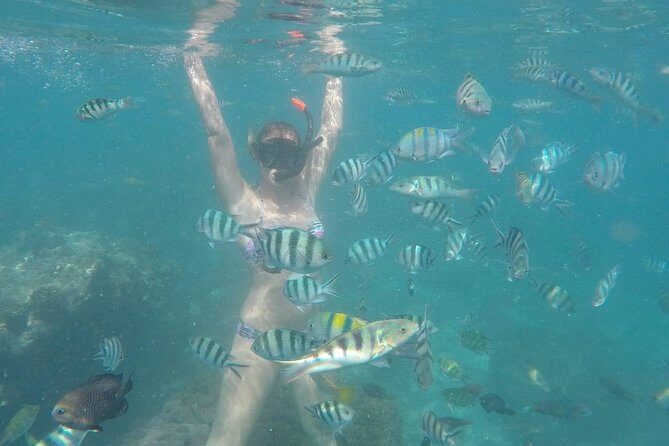 Bali Best Snorkeling at Blue Lagoon - Lunch, coffee/tea, and the pace of a short Bali day