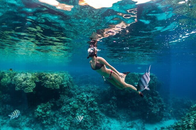 Bali Blue Lagoon Snorkeling Tour All Inclusive - Boat Ride Reality: Traditional Boat, Simple Flow