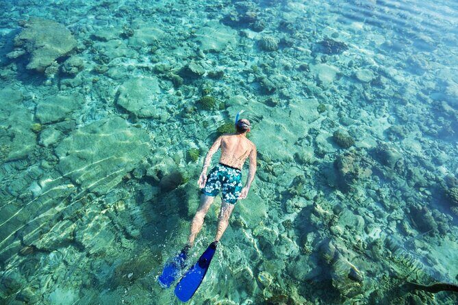 Bali Blue Lagoon Snorkeling with Private Transfer and Lunch - What the full price includes, and why $42 can be good value