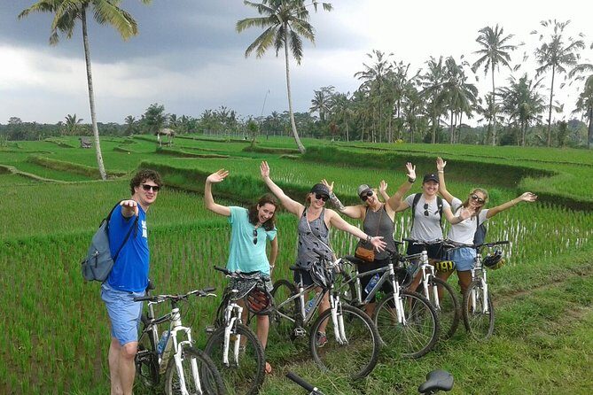 Bali Countryside Cycling Tour by Halo Bike Tour - Bikes Ready at 11:30: How the Ride Is Designed to Feel Easy