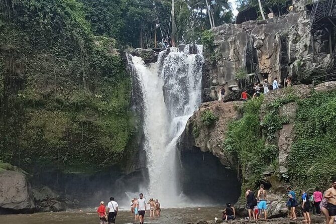 Bali Culture And Spring Temple Private Guided Tour - Price and Tickets: What Your $20 Usually Buys, and What Might Cost Extra