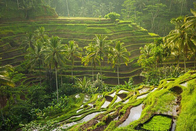 Bali Customized Private Tour - Why a Seminyak private car beats a rigid Bali schedule