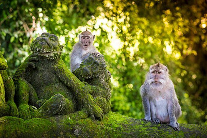 Bali Customized Private Tour - Price per person: what $31.47 covers (and what it doesn’t)