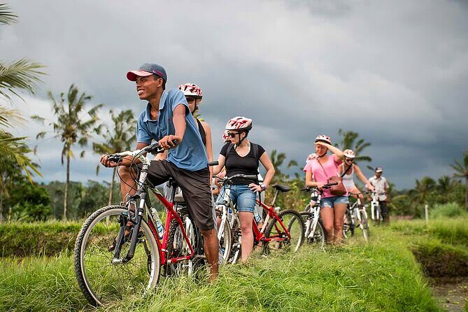 Bali Cycling and Ubud Waterfall Tour - Ubud icons: Monkey Forest and Ubud Palace without the worst of the scramble