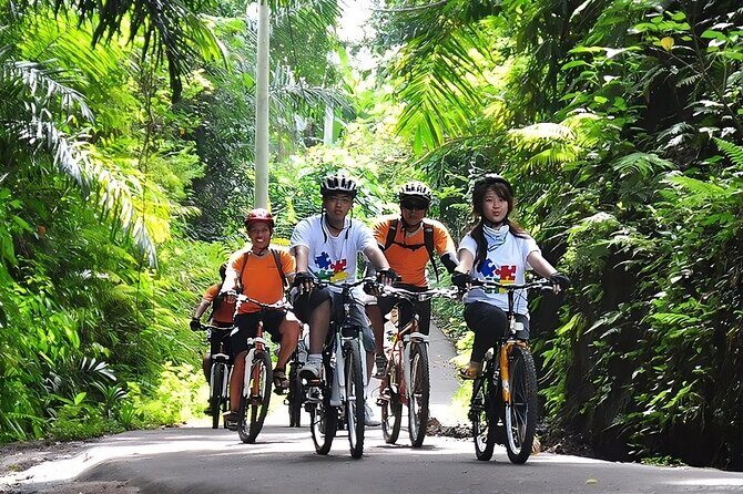 Bali Cycling and Ubud Waterfall Tour - Two hours of downhill cycling: the pace plan (and the safety setup)