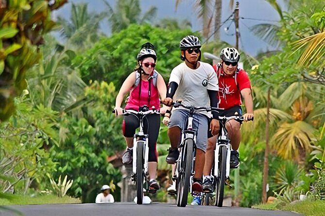 Bali Cycling and Uluwatu Tour Packages - Getting picked up and settling in by 7:30 AM