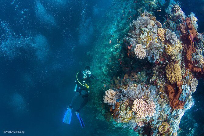 Bali Diving Day Trip-Manta Point/Tulamben Shipwreck-Fun Dive - From Seminyak pickup to the Sanur briefing: how the day starts