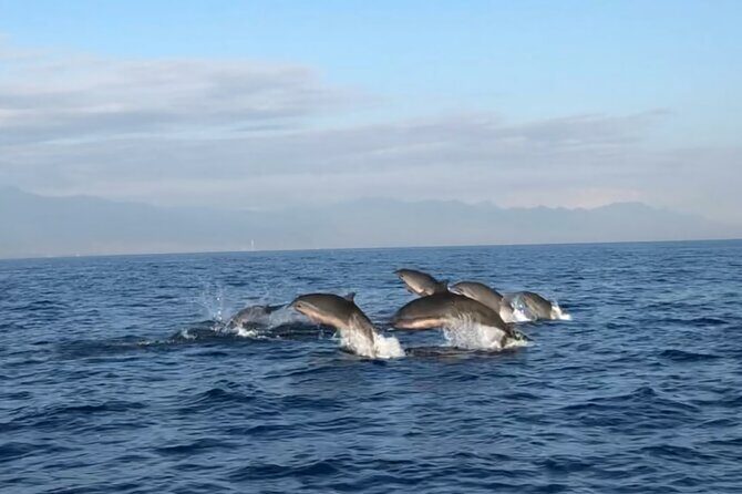 Bali Dolphin Lovina tour and Ulundanu Beratan - Lovina sunrise timing: how 3:30am works in your favor