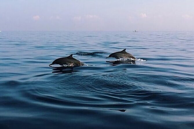 Bali Dolphin Lovina tour and Ulundanu Beratan - Ulun Danu Beratan on the lake: a temple stop that’s built for photos