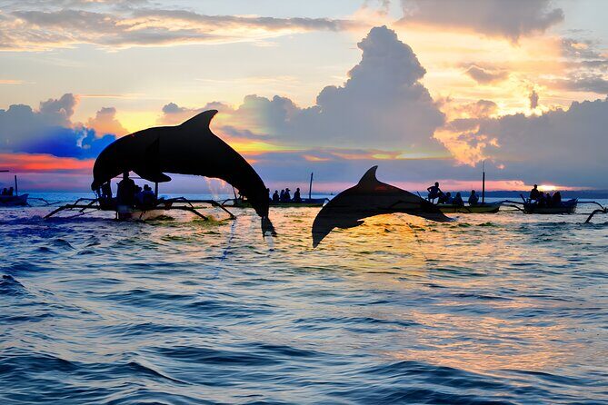 Bali Dolphin Watching Sunrise Tour in Lovina Beach - Price and Inclusions: Does $80 Per Person Feel Like Value?