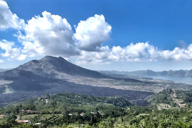 Bali Full-Day Car Charter: Ubud and Kintamani Volcano Tour - Price and What You’re Actually Paying For