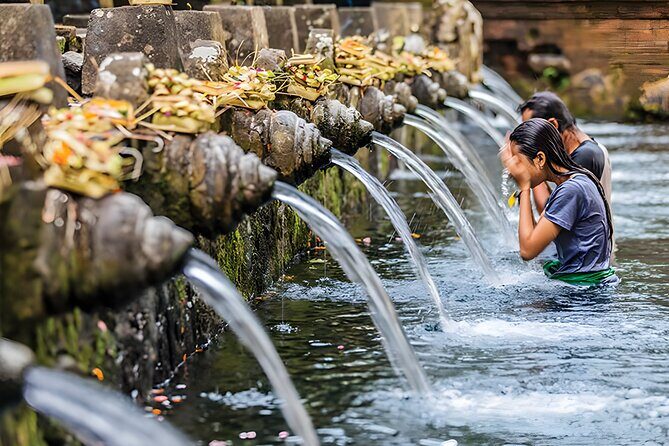 Bali Full-Day Car Charter: Ubud and Kintamani Volcano Trip - Stop 4: Tegalalang Rice Terrace and the Subak Irrigation System