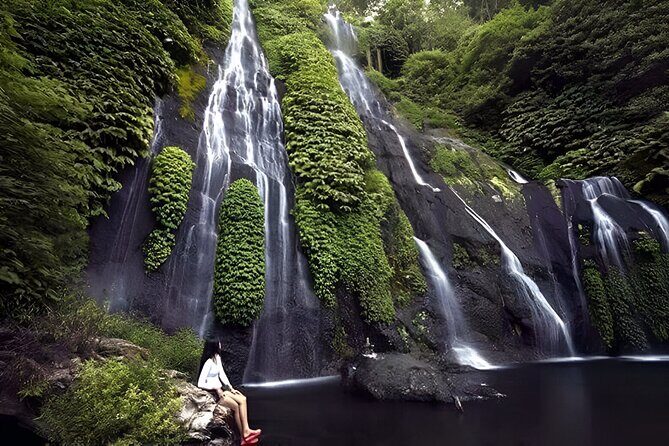 Bali Full-Day Hidden Hills, Twin Waterfalls and Hot Spring Tour - Key Stops That Make This Tour Feel Worth It
