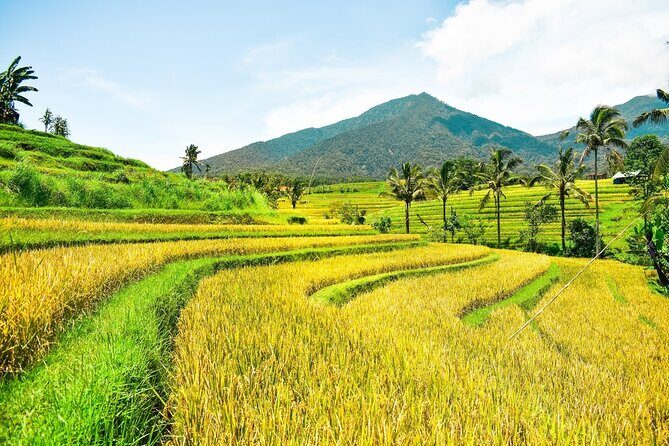 Bali Full-Day Private Customize Tour - A 10-Hour Bali Route From Seminyak That Covers Big Variety