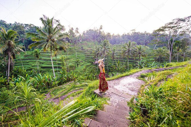 Bali Full-Day Sightseeing Trip with Lunch - Key Highlights at a Glance