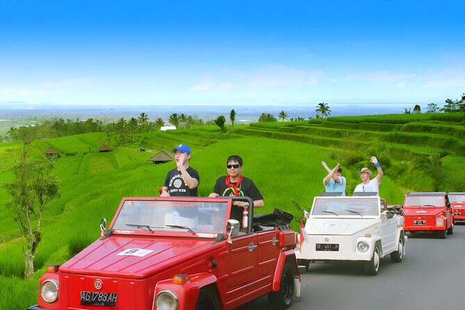 Bali Full-Day The Gate of Heaven Tour by VW Safari Classic Car - Tenganan Ancient Village: Bali Aga life and real craft culture