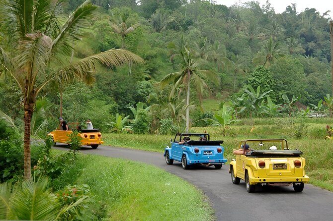 Bali Full-Day The Gate of Heaven Tour by VW Safari Classic Car - Lunch and flexibility: how to make the day fit you