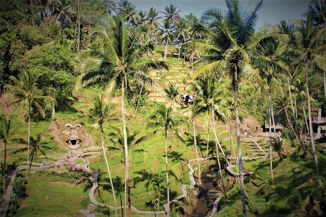 Bali Full Day Tour | Individual Route in Bali | Bali Guide | Free Wi-Fi - Tirta Empul and other sacred water places